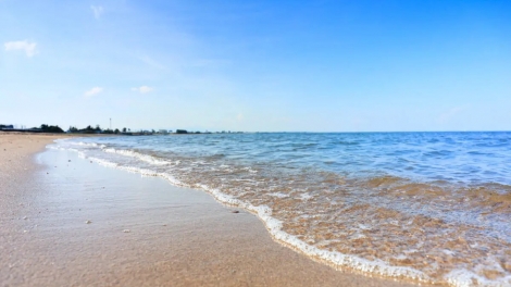 Hai thanh niên Việt Nam dũng cảm cứu người tại Nhật Bản
