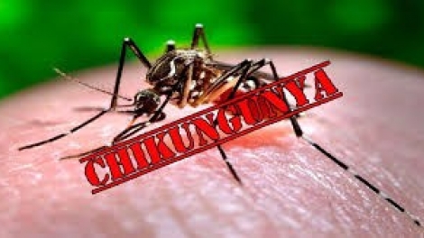 Thời sự 6h 12/8/2025: Chuyên gia khuyến cáo người dân không nên hoang mang về dịch bệnh Chikungunya 