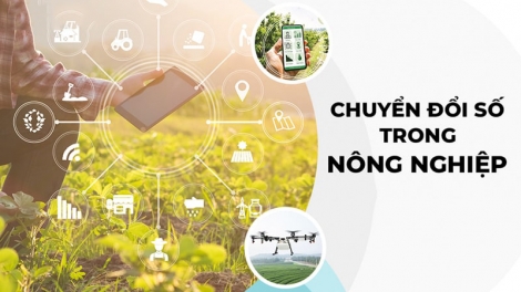 Chuyển đổi số - thay đổi tư duy sản xuất nông nghiệp của người nông dân (07/08/2025)