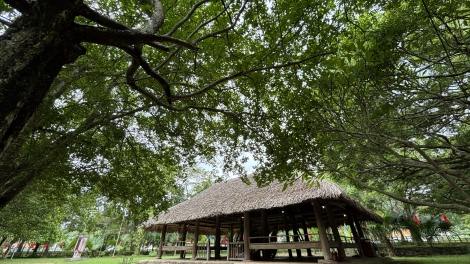 Ngày thu tháng Tám trên quê hương Cách mạng