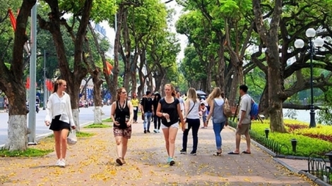 Triển khai đường dây nóng, tiếp nhận ý kiến phản ánh của người dân, du khách