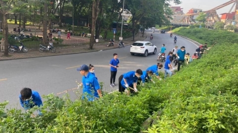 Xây dựng chiến lược tổng thể bảo vệ môi trường, hướng tới đô thị xanh bền vững