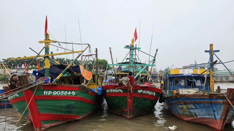 Hải Phòng: Cấm biển để phòng, chống bão số 5