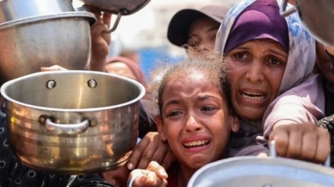Dư luận về việc Liên Hợp Quốc tuyên bố nạn đói ở Gaza