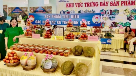 Chế biến sâu, nâng tầm giá trị sản phẩm OCOP-kết nối, lan tỏa giá trị Việt