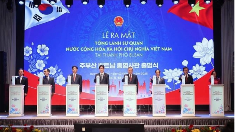 Thời sự 12h 12/8/2025: Tổng Bí thư Tô Lâm dự lễ ra mắt Tổng lãnh sự quán Việt Nam tại Busan