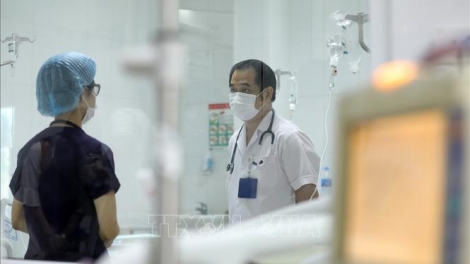 Kiểm soát, phát hiện và điều trị bệnh Chikungunya 