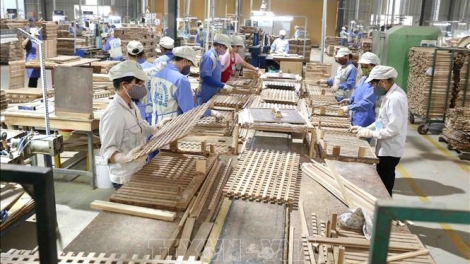 Kinh tế xã hội 7 tháng: Nhiều điểm sáng