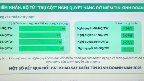 Doanh nghiệp đang gặp nhiều khó khăn nhưng không bi quan trước “biến động thuế quan”