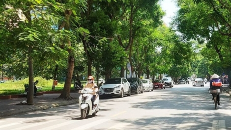 Thời tiết ngày 12/9: Bắc Bộ nắng mưa thất thường