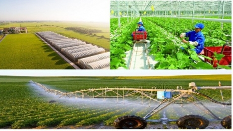 Khoa học công nghệ – Động lực nâng tầm nông nghiệp Việt Nam (12/09/2025)