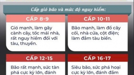 Trang bị kỹ năng ứng phó bão lớn, siêu bão cho người dân (24/09/2025)