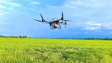 Canh tác tiết kiệm, nông dân gặt hái thành công (22/09/2025)