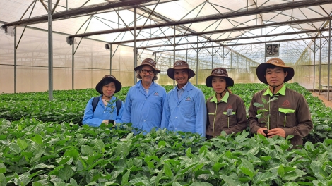 New Zealand hỗ trợ Việt Nam phát triển cây trồng chất lượng cao