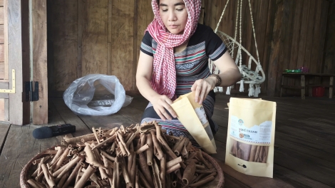Hương quế thức giấc ở Cổng Trời