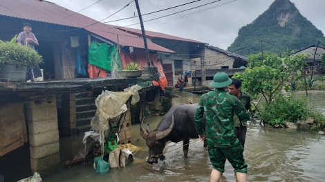 Cao Bằng: 4 người thương vong, 3 người mất tích do mưa lũ