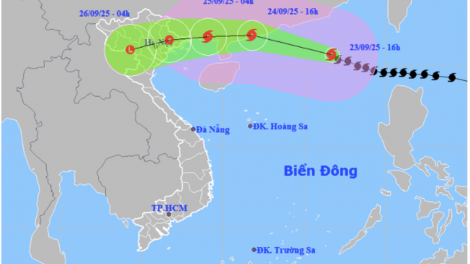 Thủ tướng yêu cầu ứng phó siêu bão số 9 Ragasa ở mức cao nhất