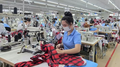 Doanh nghiệp Việt mở rộng thị trường nhờ chiến lược định vị thương hiệu.