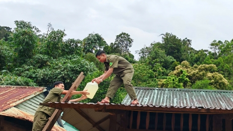 Đà Nẵng không chủ quan với bão số 10