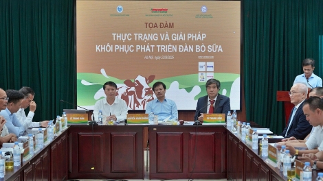 Hướng đi nào cho ngành chăn nuôi bò sữa khi tăng trưởng về dưới 1%