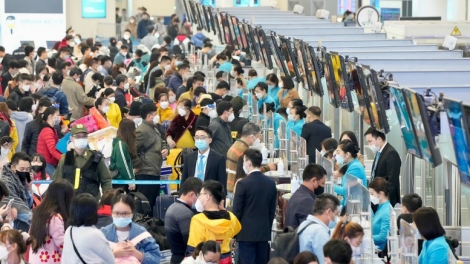 Mở bán sớm hơn 3,5 triệu vé máy bay dịp Tết 2026