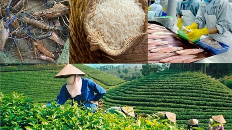 Ngân hàng nhà nước nâng quy mô tín dụng nông, lâm, thủy sản lên 185.000 tỷ đồng