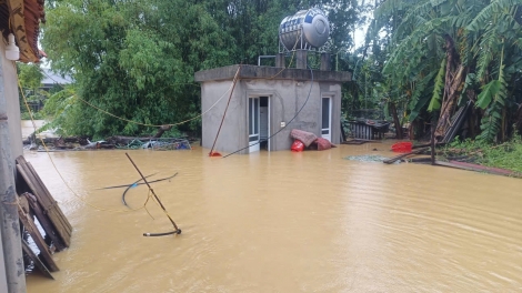 Hương Sơn, Hà Tĩnh: Dồn lực giúp dân ổn định cuộc sống sau bão