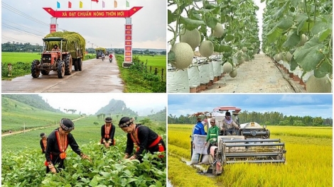 Nhiều địa phương đạt kết quả tích cực trong thực hiện giảm nghèo bền vững