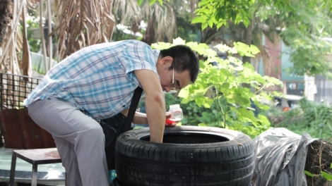 Số ca mắc sốt xuất huyết tại Hà Nội đã lên trên 200 ca/tuần, với hàng chục ổ dịch.