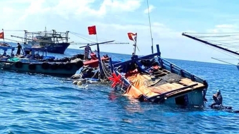 Tai nạn sự cố trên biển 8 tháng 2025: tàu cá và ngư dân chiếm đa số 