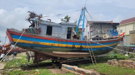 Nghệ An chung tay khôi phục sản xuất sau thiên tai