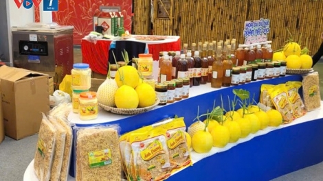 Gia tăng xúc tiến thương mại cho nông sản tại Hội chợ Mùa Thu 2025 (01/11/2025)