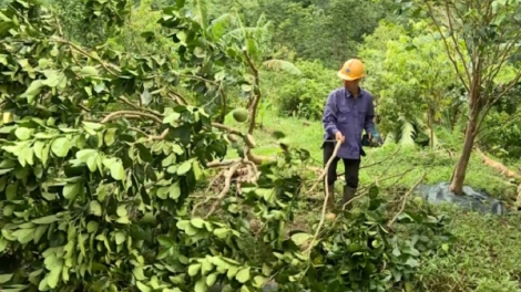 Tập trung khôi phục sản xuất sau thiên tai (02/10/2025)
