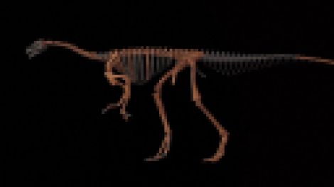 Argentina phát hiện hóa thạch của một trong những loài khủng long cổ nhất thế giới