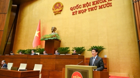 Chủ tịch nước Lương Cường: Đã thực hiện có hiệu quả nhiệm vụ và quyền hạn theo quy định 
