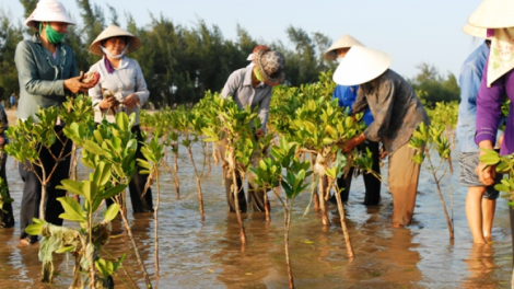 Tự hào 29 năm chiến dịch Mùa hè xanh