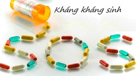 WHO: Cần tăng cường đầu tư giải quyết tình trạng siêu vi khuẩn kháng kháng sinh