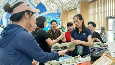 Nâng tầm thương hiệu nông sản Việt từ Hội chợ Mùa Thu lần thứ nhất năm 2025