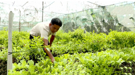 Theo dòng thời sự chiều 28/10/2025