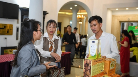 Kết nối, mở rộng thị trường tiêu thụ sản phẩm OCOP