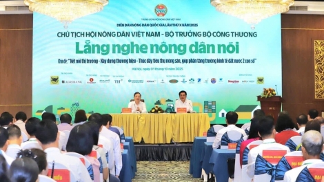 Lắng nghe nông dân để kết nối thị trường, thúc đẩy tiêu thụ nông sản. (04+05/10/2025)