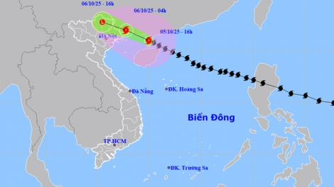 Thời tiết ngày 6/10/2025: Hoàn lưu bão Matmo gây mưa lớn khu vực Đông Bắc nước ta
