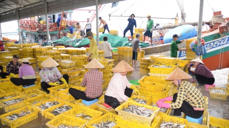  Đồng Tháp quyết liệt cùng cả nước sớm gỡ “thẻ vàng” IUU