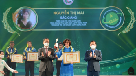 Chị Nguyễn Thị Mai với mô hình ươm trồng, cung cấp cây công trình, cây dự án 16/6/2022