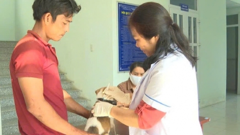 Bộ Y tế khuyến cáo người dân cần chủ động phòng chống bệnh dại