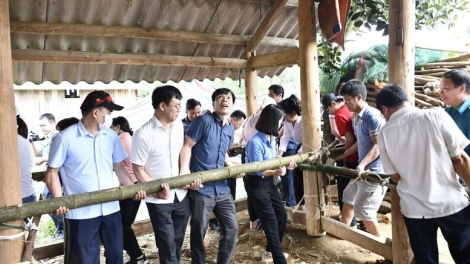 Những kết quả đạt được từ phong trào xóa nhà tạm, nhà dột nát