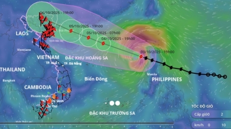 Thời sự 6h 5/10/2025: Bão số 11 vẫn đang mạnh lên và hướng về vùng biển Quảng Ninh, Hải Phòng