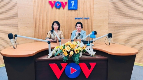 Hợp tác xã Hương Vân Trà: Xây dựng thương hiệu từ những đồi chè xanh