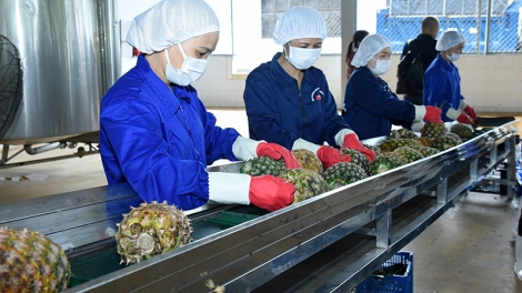 Nông nghiệp tiếp tục duy trì đà tăng trưởng giữa nhiều thách thức (07/10/2025)