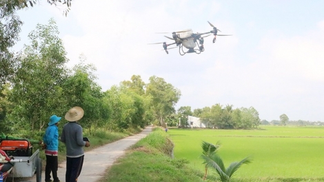 Theo dòng thời sự chiều 10/10/2025